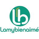Lamybienaimé stratenergie